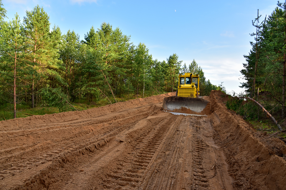 Overholt Grading - leveling cleared ground surrounded by trees